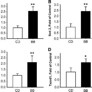 Gene expression of Sod1 (A), Sod2 (B), Gsr (C), and Txnrd1 (D) in the ...