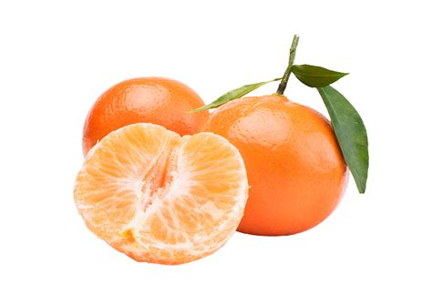 Orange Or Tangerine Png Transparent Background 29200328 Png