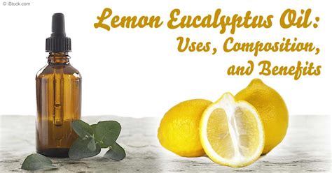 Herbal Oil Lemon Eucalyptus Oil Benefits And Uses