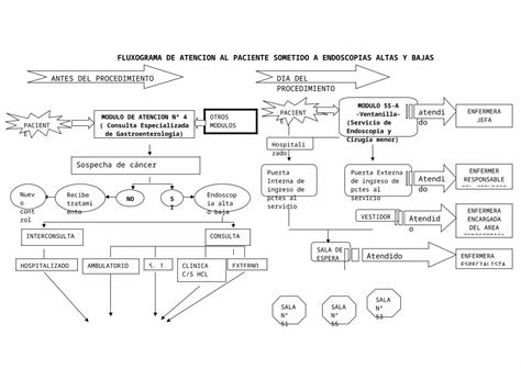 DOC Fluxograma De Atencion Al Paciente Sometido A Endoscopias Altas Y
