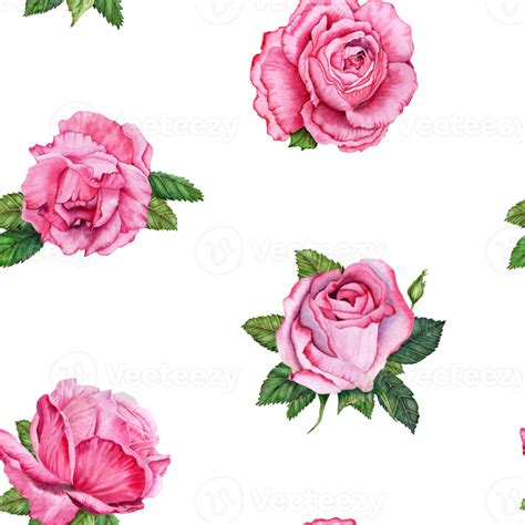 S Ml S M Nster Med Rosa Reste Sig Blommor Och Gr N L V Hand Dragen