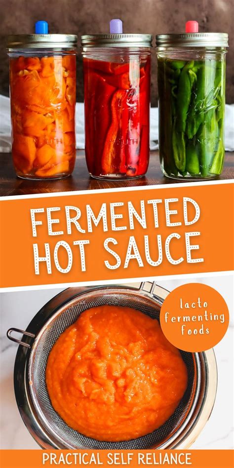How To Make Fermented Hot Sauce Recipe Hot Sauce Recipes Fermented Hot Sauce Recipe