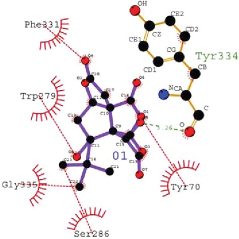 2D Ligand Interaction Diagram Of AChE Inhibition By Bilobalide A And