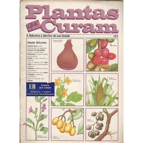 Livro Plantas Que Curam N Shopee Brasil