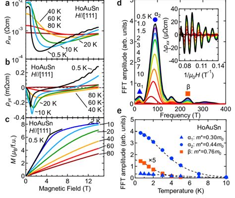 Magnetotransport Properties And Quantum Oscillations In HoAuSn A