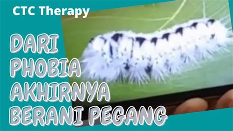 C10 Ctc Therapy Untuk Fobia Ulat Dengan Clean Language Youtube