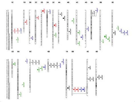 Quality Related Qtl Across The 32 Linkage Groups From A Genetic Map