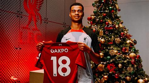 Your chance to win an LFC shirt signed by Cody Gakpo - Liverpool FC