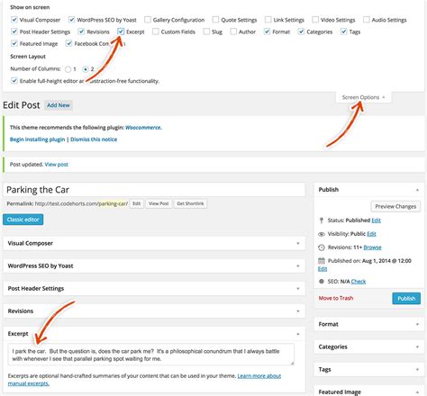 blog-post-screen-options-excerpt - WPLauncher