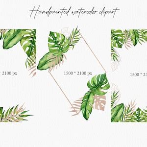 Tropical Leaves Clipart Watercolor Jungle Frames Clip Art Monstera