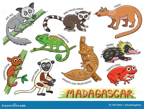 Map Of Madagascar Vector Illustration | CartoonDealer.com #84113240