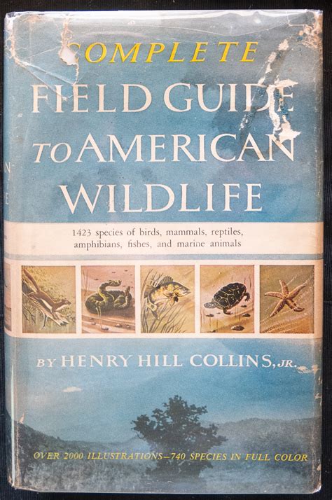 Complete Field Guide to Americn Wildlife 1959 by Henry Hill - Etsy