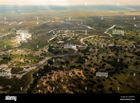 Swamp Wetland Okavango Hi Res Stock Photography And Images Alamy