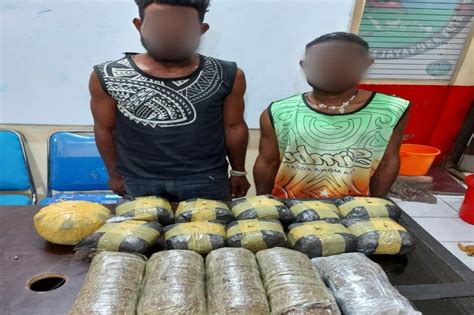 Miliki Kg Ganja Polisi Tangkap Dua Pengedar Berkebangsaan Png