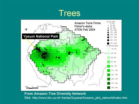 Yasuni Slide Show - Slide 4