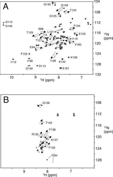 Structure And Dynamics Of The C Domain Of Human Cardiac Troponin C In