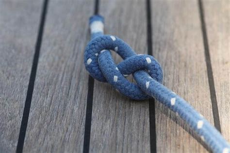 Best Knot For Dog Leash A Quick Guide