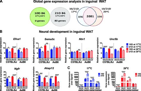 Global Gene Expression Analysis In ING A Diagrams Showing The Results