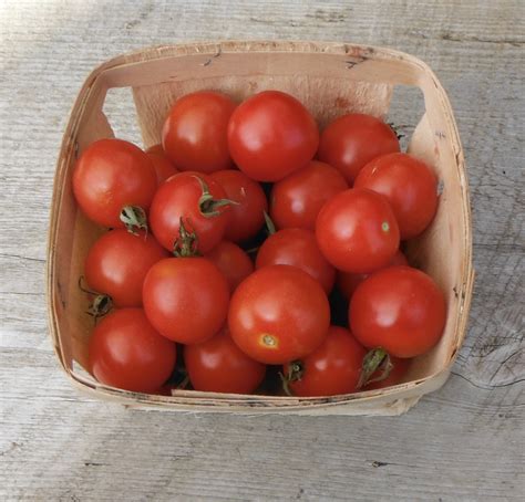 Gardener S Delight Cherry Tomato