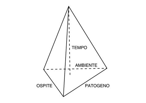 Malattie Infettive Delle Piante E Virulenza Dei Patogeni Prima Parte