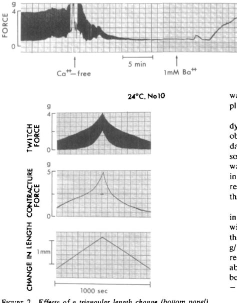 Figure 2 From The Effects Of Ouabain On The Transmembrane Potentials