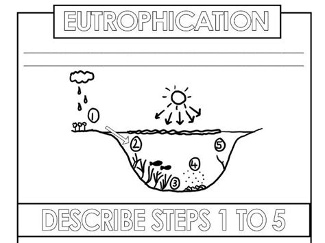 Explain Biodiversity Loss From Eutrophication Worksheet Live