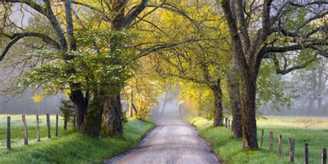 Best Fall Drives In The Smokies Smoky Mountains TN NC