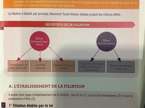 Droit De La Famille La Filiation Cartes Quizlet