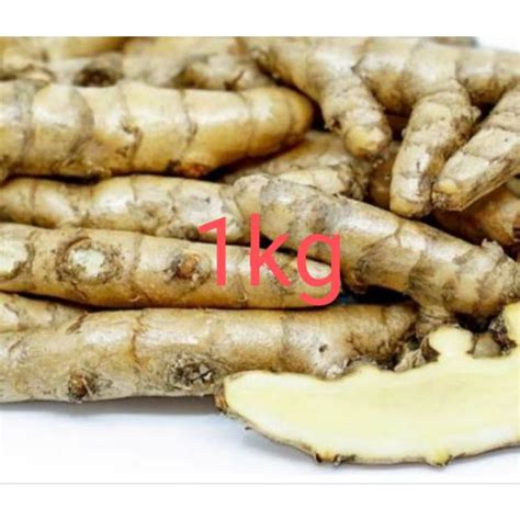 Jual Kunyit Putih Segar Kg Temu Putih Curcuma Zedoaria Shopee