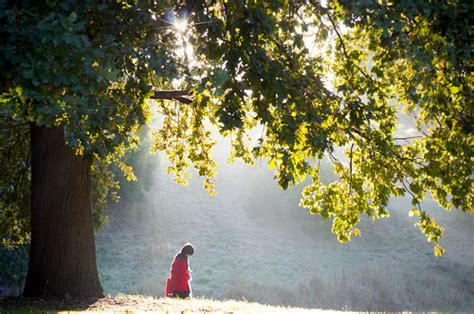 Autumn sunlight | Indigo Skies Photography | Flickr