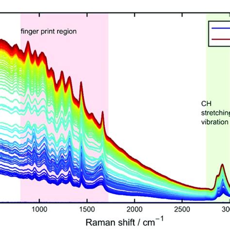 Unprocessed Raman Spectrum From The Drying Process Of A 10 Wt