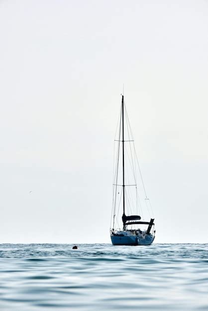 Premium Photo Sail Boat