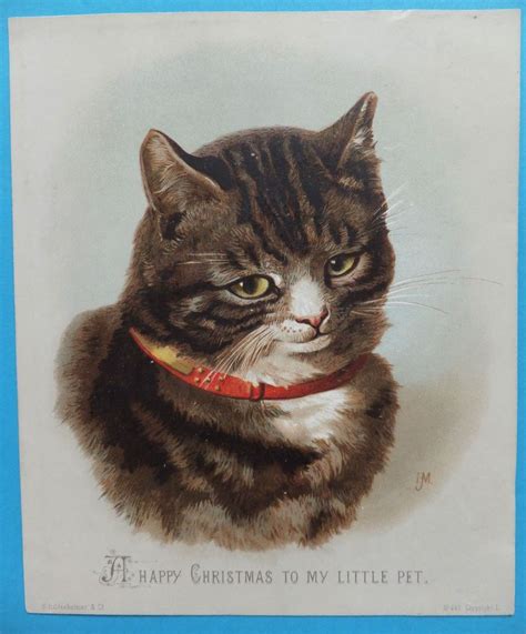 Victorian Cat Christmas Card Portrait Helena Maguire Hildesheimer No