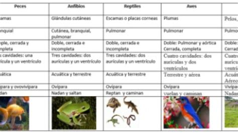 Cuadro Doble Entrada Animales - heartfeltblurbs.blogspot.com