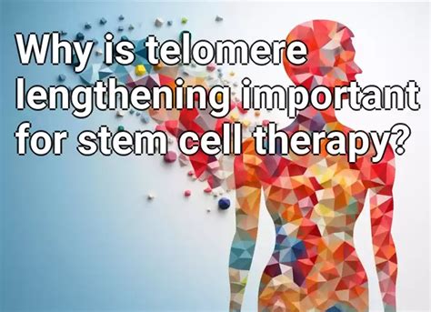 Why Is Telomere Lengthening Important For Stem Cell Therapy