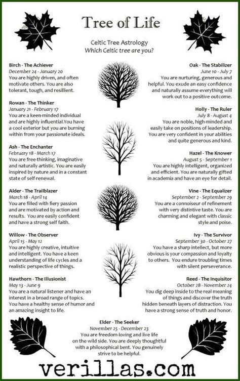 Birthdays Celtic Tree Horoscope Celtic Tree Astrology Tree Of Life