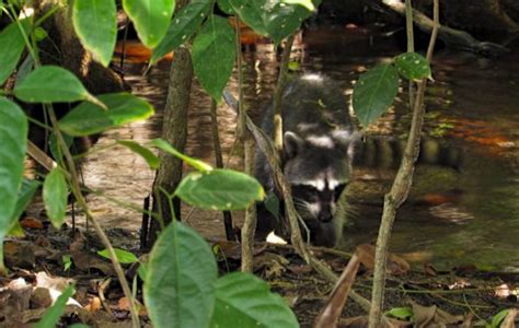 Guía de viaje a Costa Rica en 13 días Actualizado en 2020