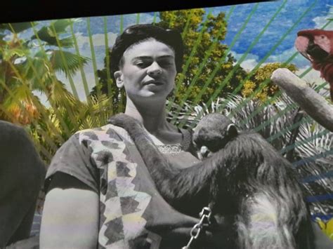 Sydney Festival Review Frida Kahlo The Life Of An Icon Brings Flowers