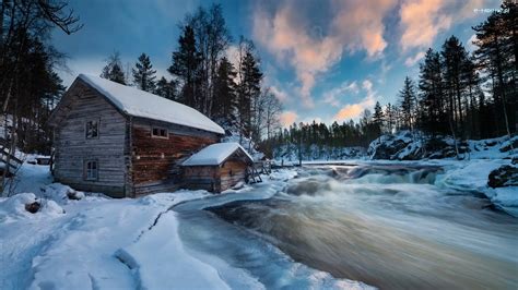 Zima Rzeka Finlandia Laponia Drzewa Park Narodowy Oulanka Gmina