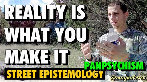 Street Epistemology Petar Reality Is What You Make It Panpsychism