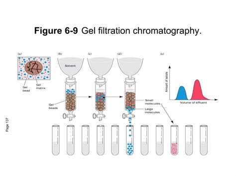 Protein purification techniques | PPT