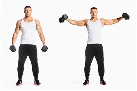 The Beginners Guide To Master The Dumbbell Lateral Raise Dmoose