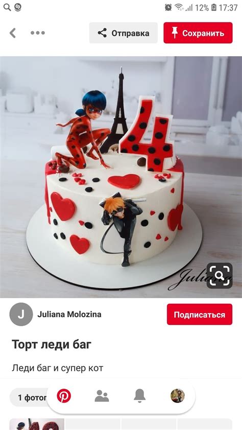 Miraculous And Noir Cake Topper Miraculous Ladybug Cake Decorations