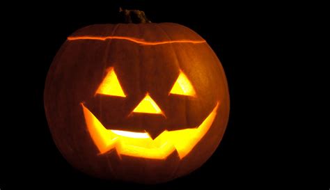 9 Uses For Your Jack O Lantern Pumpkin After Halloween Hobby Farms