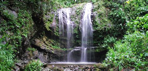 Río Grande, Puerto Rico – El Yunque City | BoricuaOnLine.com