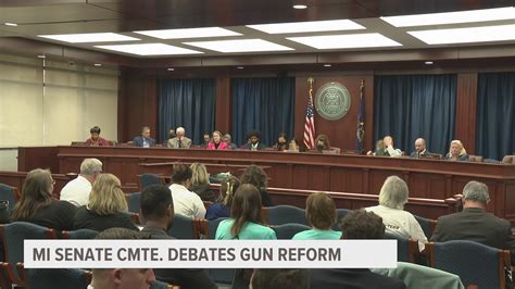 Mi Senate Gun Reform Package Advances From Committee To Senate