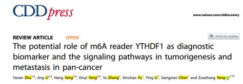 Cdd 综述︱杨祚璋团队综述了m6a阅读蛋白ythdf1在多种人类肿瘤发生和转移中可能的预后价值、潜在的靶蛋白及其调控机制 知乎