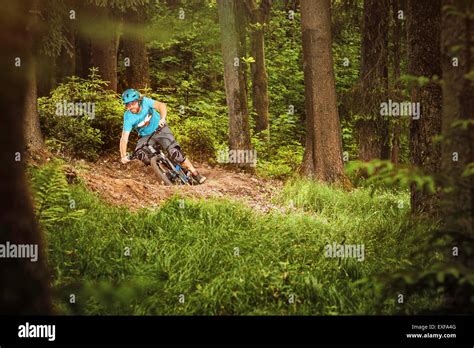 Young Man Mountain Biking In Forest Stock Photo Alamy