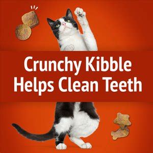 6 Best Friskies Cat Treats 2024: According to Reviews | Chewy