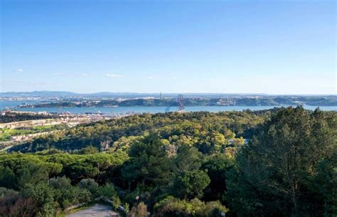 Parque Florestal Monsanto Lisbon Gardens Natural Portugal Travel